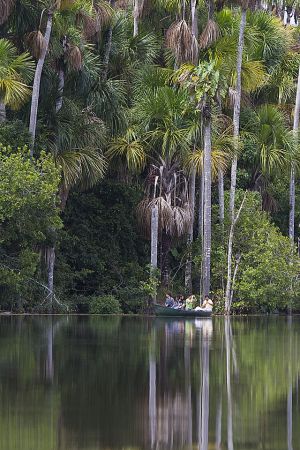 Reserva Nacional Tambopata 559.jpg